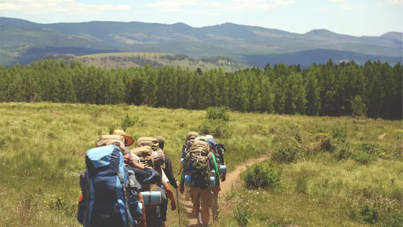 Group of hikers with backpacks on a trail through open grassland