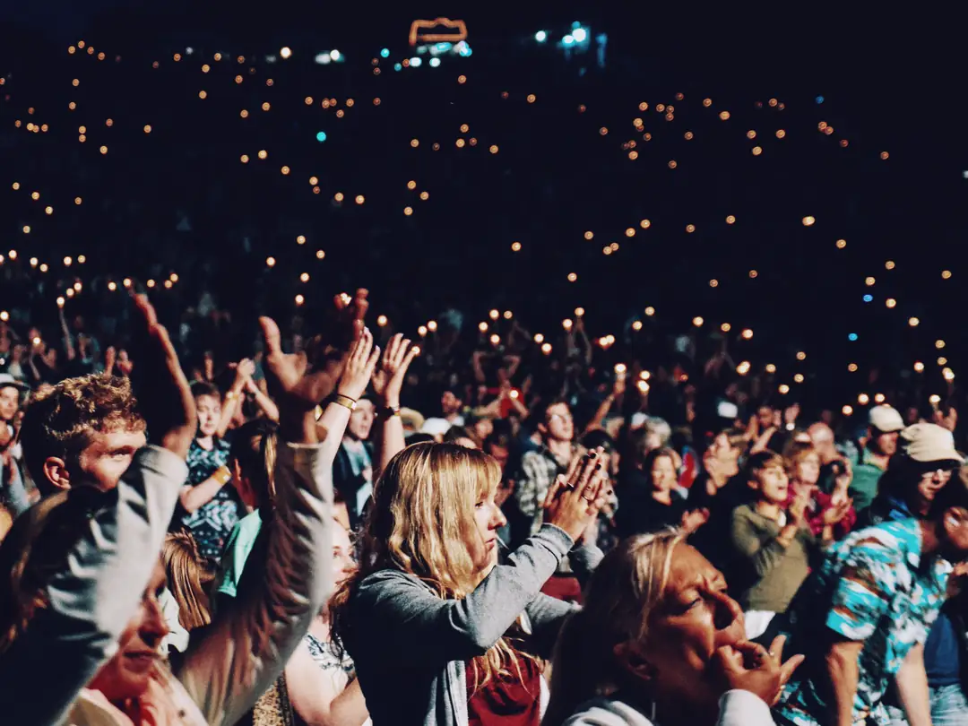 Fans cheering with raised arms in a packed crowd at a night event