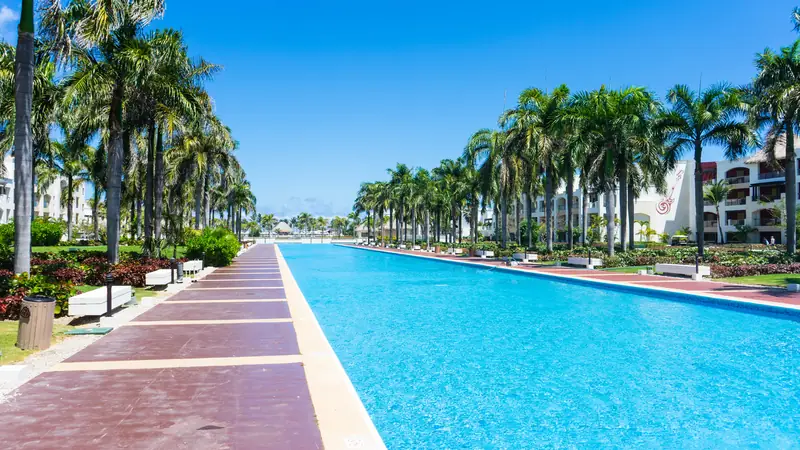 Long resort swimming pool lined with palm trees